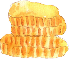 Honeycomb, Hand Drawn Illustration Watercolor paintin
