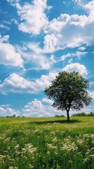 Fototapeta premium Lush meadow and trees bask under the endless blue sky.