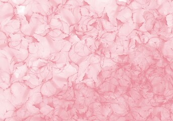 Obraz premium floral pink background