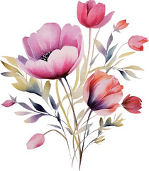 Obraz premium bouquet of tulips isolated on white