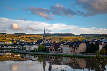 Panoramic view of terraced vineyards of Machtum on sunset, reflection on Moselle River, Luxembourg near Grevenmacher