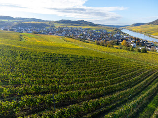 Naklejka premium Aerial view of terraced vineyards around Nittel, Rhineland-Palatinate, Germany and views across Moselle River on vineyard hills of Luxembourg near Grevenmacher