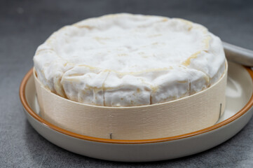 french soft Camembert cheese, original Camembert de Normandie, close up with white mold