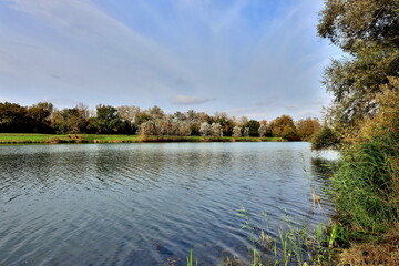 Der Rhein bei Vogtsburg im Herbst