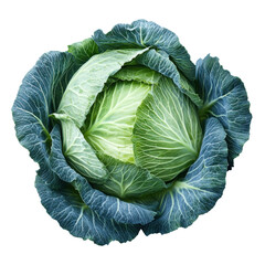 Fototapeta premium Fresh Green Cabbage with Vibrant Leaves Top View
