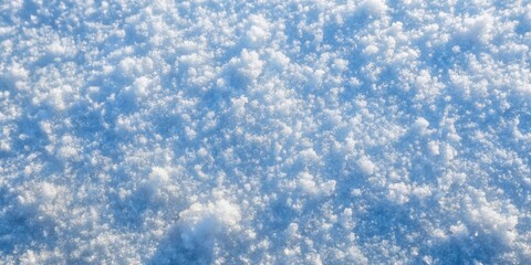 Obraz premium A pristine, white blanket of freshly fallen snow, illuminated by the soft, ethereal light of the winter sun, creating a captivating texture of shimmering crystals.