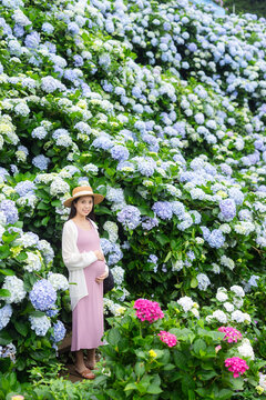 Asian pregnant in Hydrangea flower farm