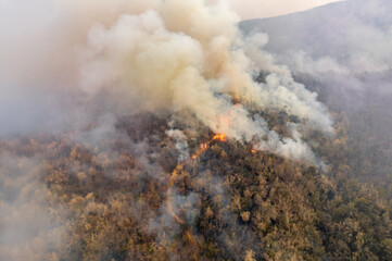Wildfires release carbon dioxide (CO2) emissions and other greenhouse gases (GHG) that contribute...