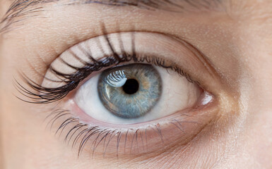 Fototapeta premium A close-up photo of a female eye with long, dark eyelashes