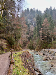 A scenic walkway follows the clear river through a lush forest, leading to the Partnachklamm Gorge in Garmisch-Partenkirchen, Germany, creating a serene and immersive nature trail.