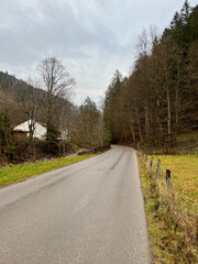 A peaceful countryside road winds through a dense forest, leading to the entrance of Partnachklamm Gorge, set against the alpine scenery of Garmisch-Partenkirchen, Germany.