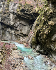 A walkway winds through Partnach Gorge alongside a clear blue, rushing river, with vibrant red leaves scattered along the ground, creating a stunning autumn alpine scene.
