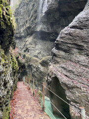 A narrow pathway winds through Partnach Gorge beside a clear blue, rushing stream, with red leaves scattered on the ground, creating a dramatic autumn landscape in Bavaria.