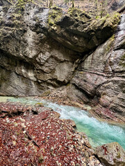 Wet rocks line the vibrant turquoise stream flowing through Partnach Gorge, with red leaves scattered along the ground, creating a striking autumn contrast in the Bavarian Alps.