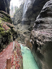 A narrow pathway winds through Partnach Gorge beside a clear blue, rushing stream, with red leaves scattered on the ground, creating a dramatic autumn landscape in Bavaria.