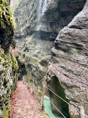 A narrow pathway winds through Partnach Gorge beside a clear blue, rushing stream, with red leaves scattered on the ground, creating a dramatic autumn landscape in Bavaria.