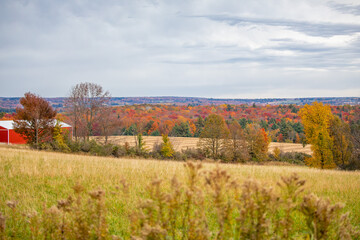 Colorful trees next to Wisconsin farmland with red barn