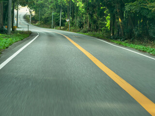 motion blurred road in the forest