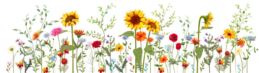 Horizontal autumn's border: marigold, poppy, thistles, sunflow, daisy flower, small green twigs, red berries on white background. Digital draw, illustration in watercolor style, panoramic view, vector