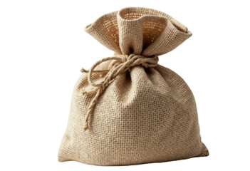 bag with a gift