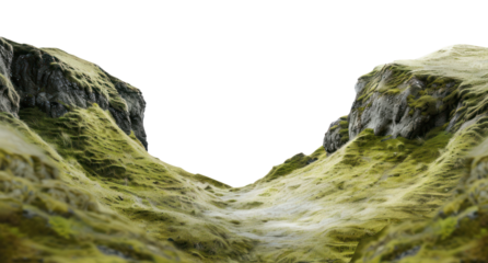 PNG Landscape outdoors nature plant.