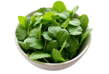 bowl of green salad