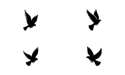 bird Silhouette set of logo icon in black and white