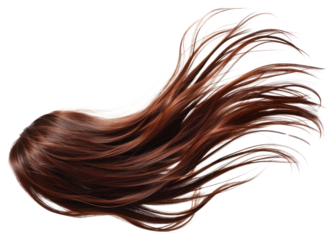 High speed freeze motion Long straight Wig hair style fly fall explosion adult brown.