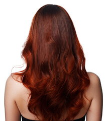 Fototapeta premium PNG Lively hair color black portrait back adult.