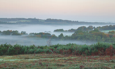 Autumn Mist Breaks Across The Valleys And Trees At Ashdown Forest