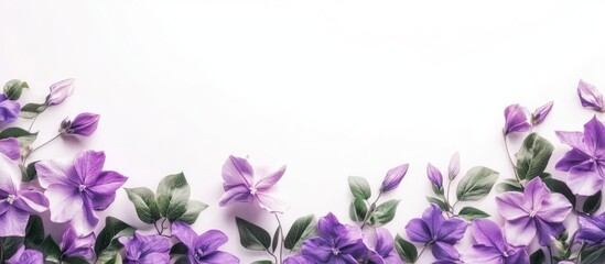 Purple Bignonia flowers blooming on a joyful day with a white background for copyspace featuring a vintage style