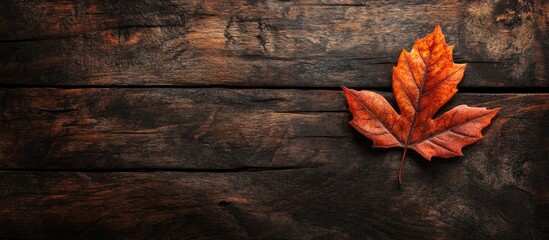 dark brown autumn leaf on a deep rustic wooden backdrop minimalism. with copy space image. Place for adding text or design