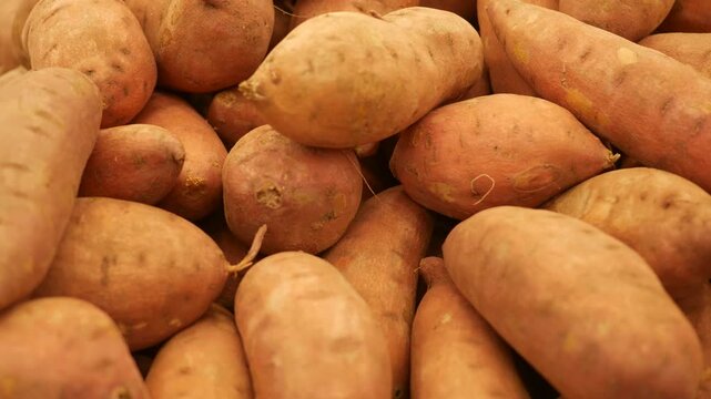 Camera pans across a pile of Sweet Potatoes in Grocery Store
