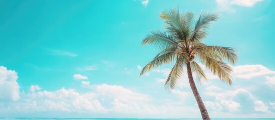 Summer at the beach featuring a palm tree against a blue sky with clouds including copy space Minimalist concept in pastel shades Blurred background