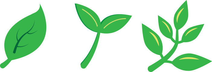 Hawaiian plants set. Vector colored elements isolated on a white background. Abstract botanical illustration.