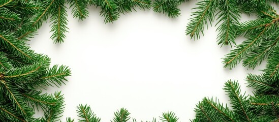 A frame of evergreen pine fronds surrounds a blank central white card with copyspace for your Christmas seasonal or holiday message