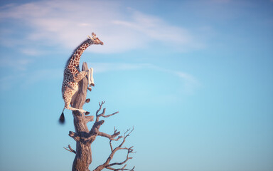 Giraffe climbing a dry tree in surreal landscape.