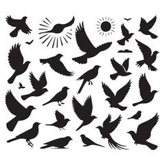 Fototapeta premium Collection of Bird silhouette vector illustration