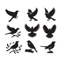 Fototapeta premium Collection of Bird silhouette vector illustration