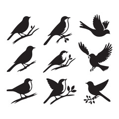 Collection of Bird silhouette vector illustration