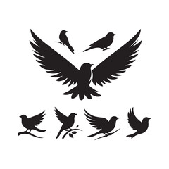 Obraz premium Collection of Bird silhouette vector illustration
