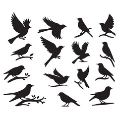 Obraz premium Collection of Bird silhouette vector illustration