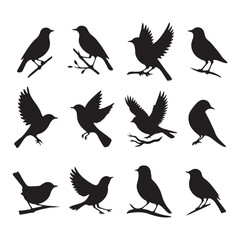 Fototapeta premium Collection of Bird silhouette vector illustration