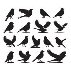 Obraz premium Collection of Bird silhouette vector illustration