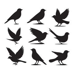 Obraz premium Collection of Bird silhouette vector illustration