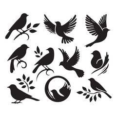 Fototapeta premium Collection of Bird silhouette vector illustration