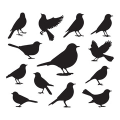 Obraz premium Collection of Bird silhouette vector illustration