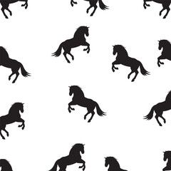 Horse background illustration  design