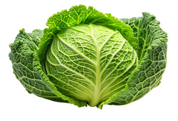 Obraz premium cabbage isolated on white