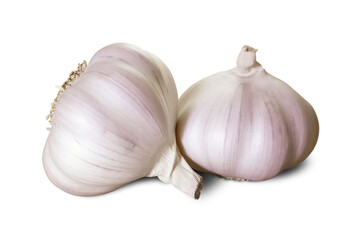 Fototapeta premium Garlic Bulbs